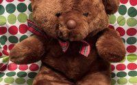 Cozy Plush Brown Bear