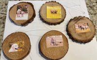 Five Wooden Tree Decorations