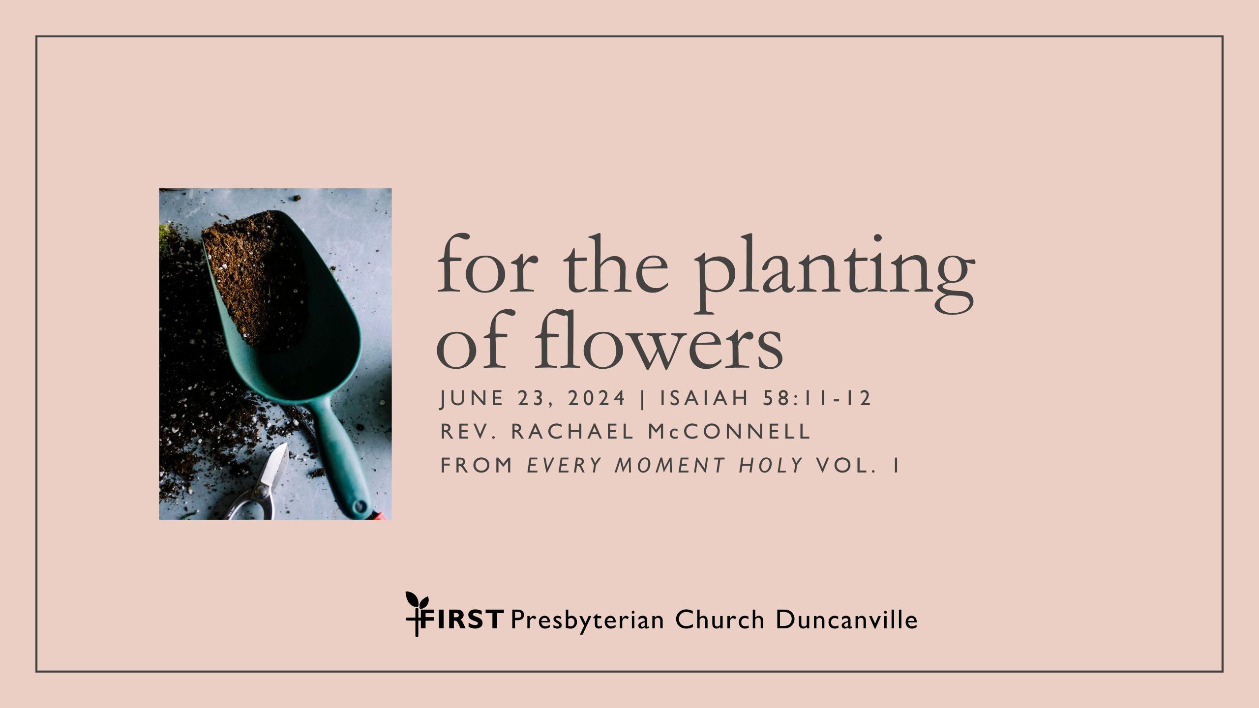 6/23/24 – For the Planting of Flowers